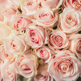 Bouquet de roses roses